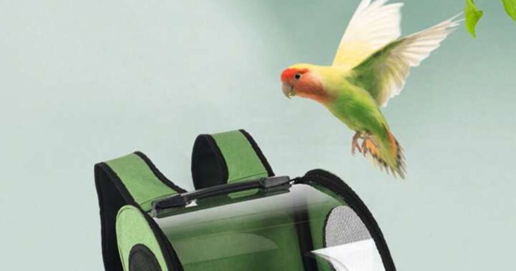 Best Travel Carrier for Birds