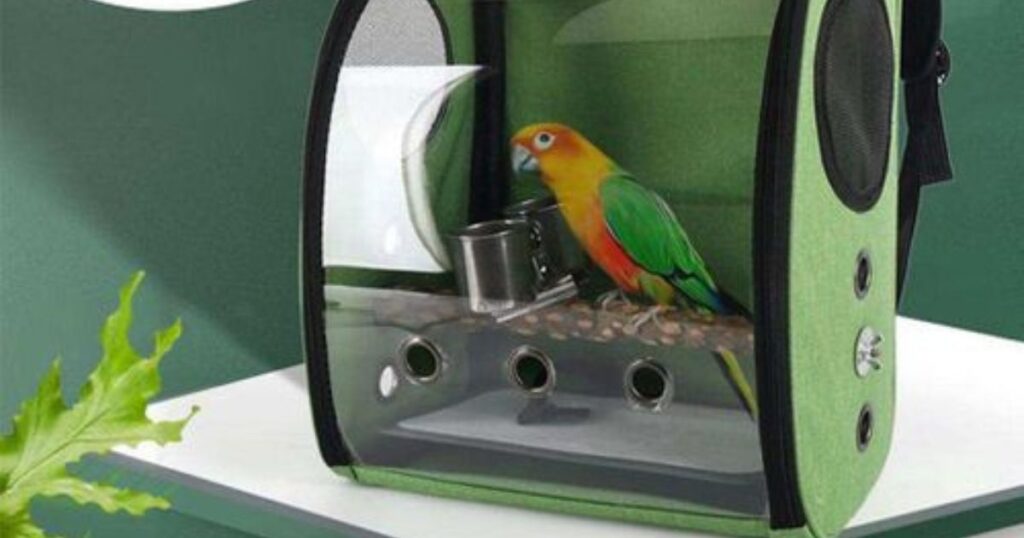 Best Travel Carrier for Birds 2024