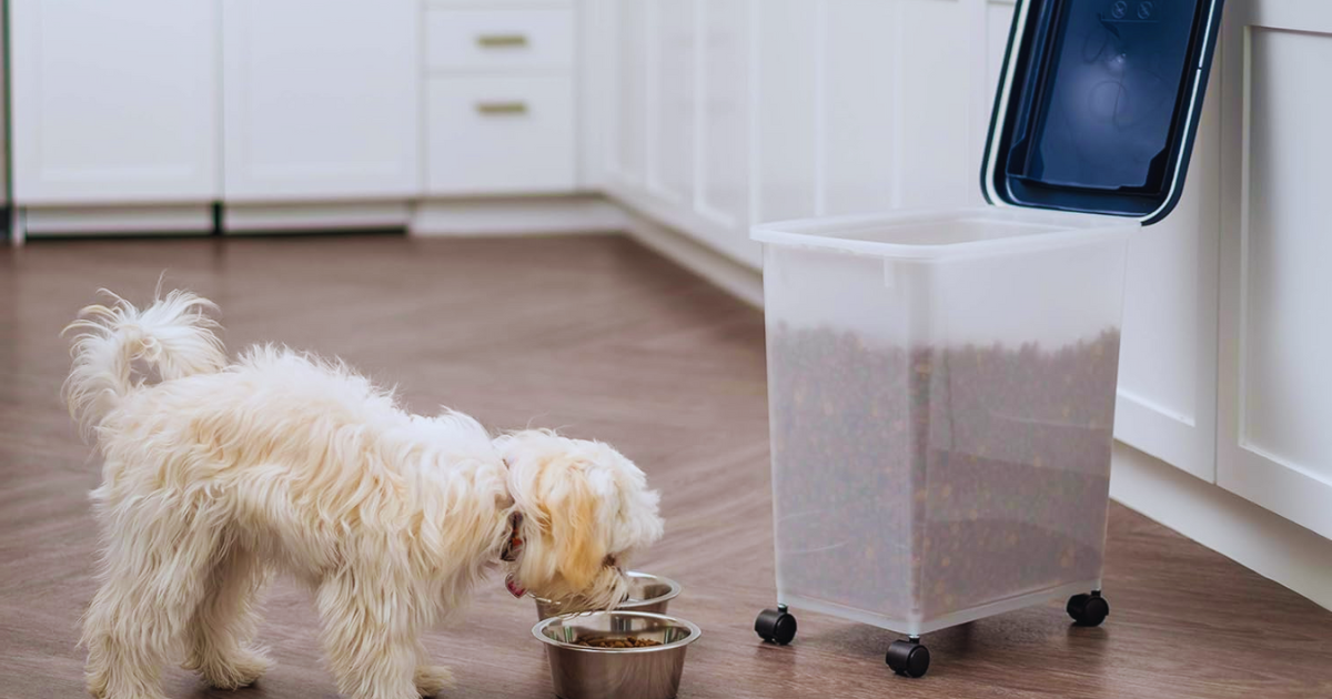 BEST PET FOOD CONTAINER IN 2024