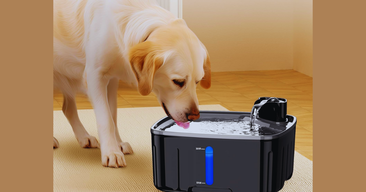 BEST WATER FOUNTAIN FOR PETS